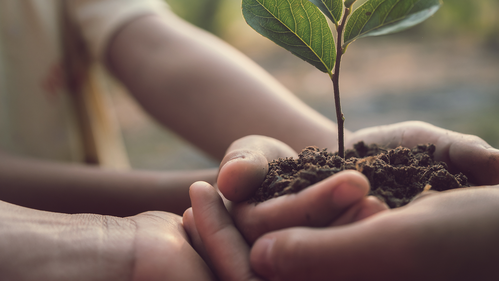 Crackdown on fund mislabelling: New ESG fund name guidelines on the horizon