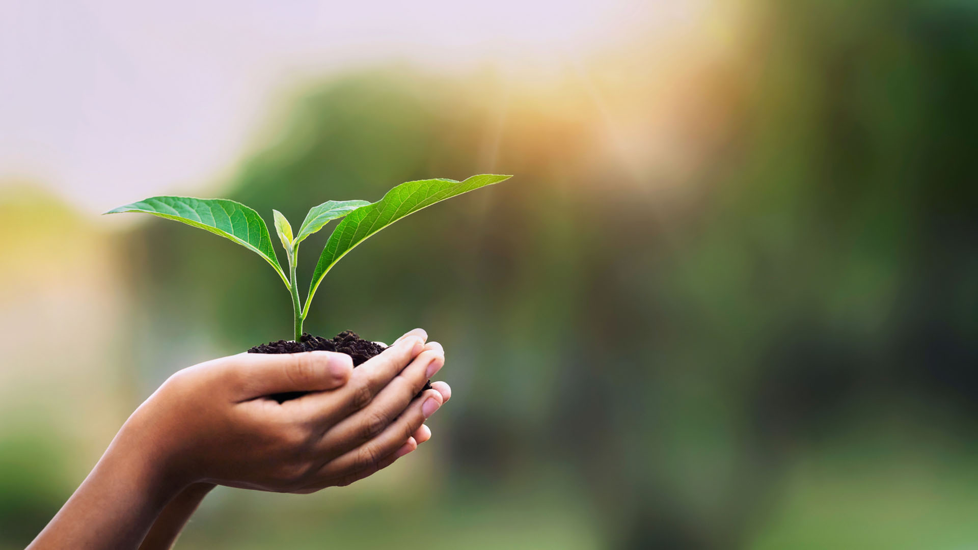 Norton Rose Fulbright makes final fundraising push for 2022 Global Charitable Initiative